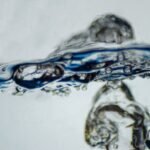 denes-kozma-ldL0AanxJx4-unsplash